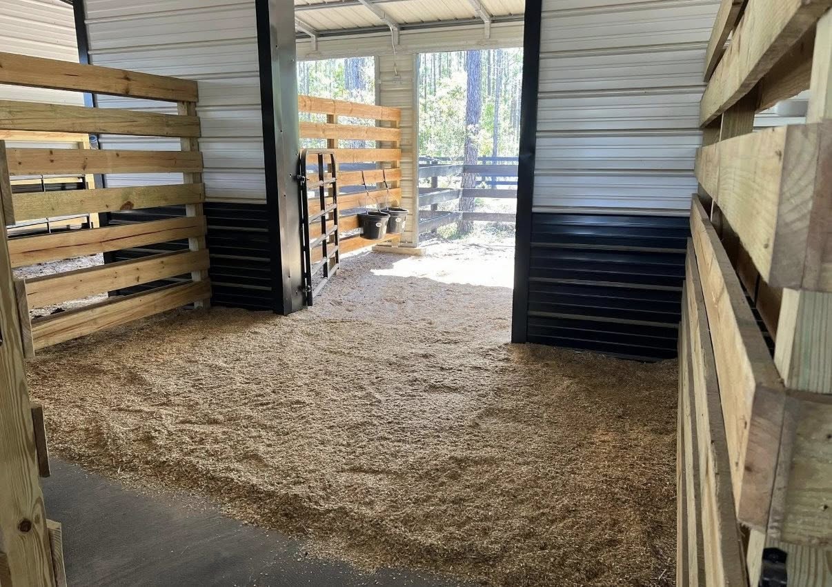 Covered paddock access connected to spacious horse stalls at Rodeo Stables in Ormond Beach, Florida