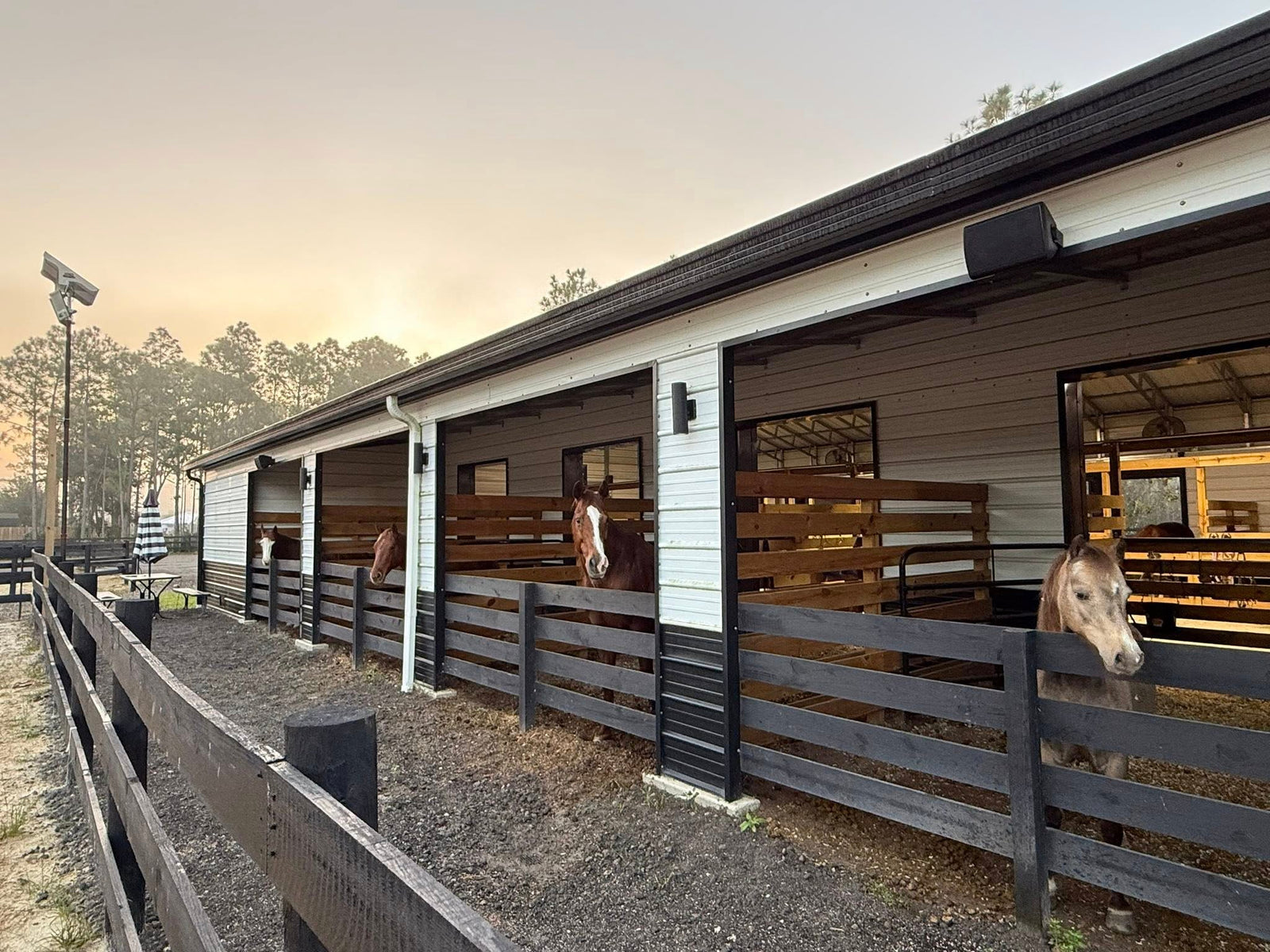 Exterior horse stalls at Rodeo Stables with covered paddocks and black fencing