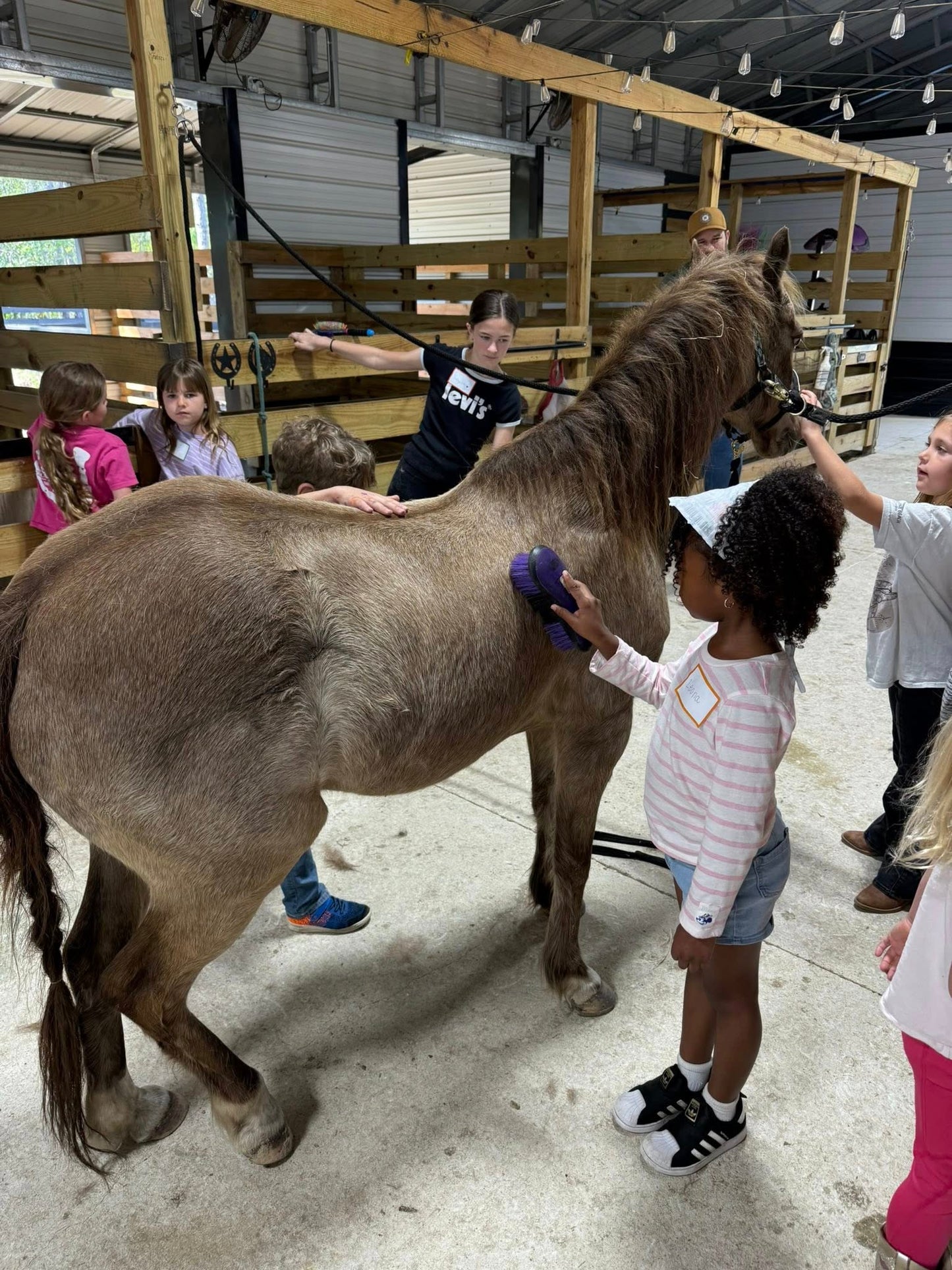 Children brushing and grooming a horse during a hands-on horse activity at Rodeo Stables.