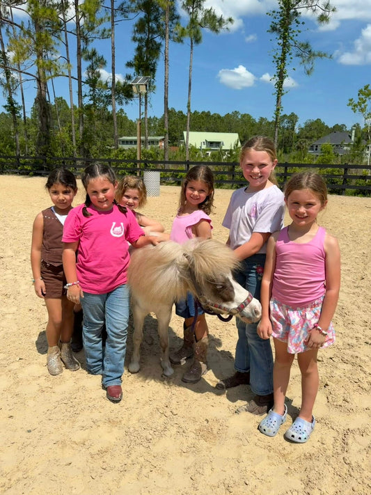 Children gathered around a mini horse during a kids horse activity at Rodeo Stables in Ormond Beach, Florida.