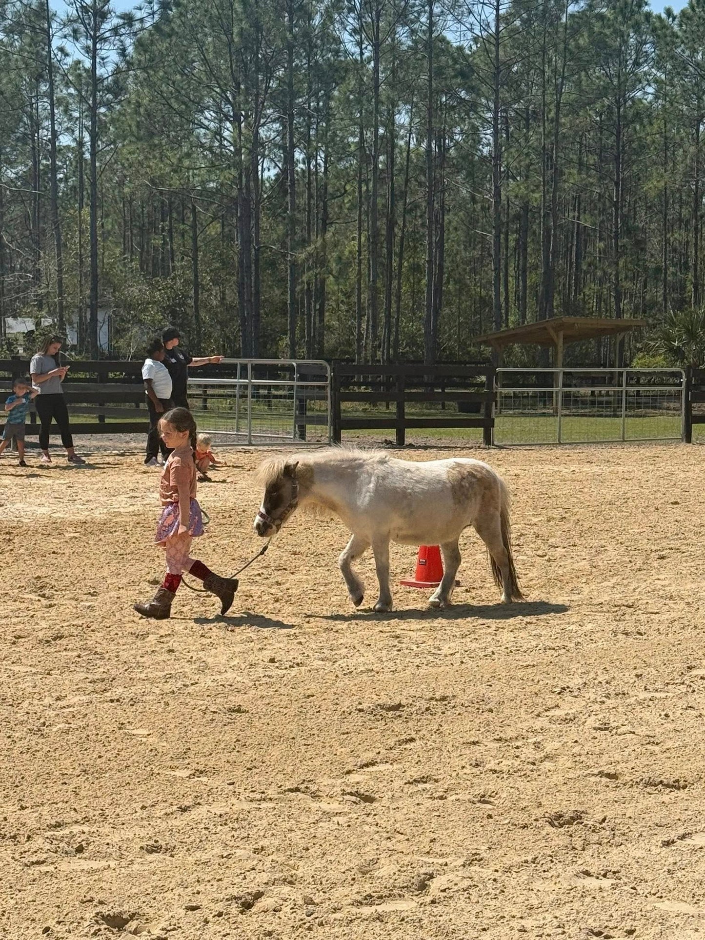 Young girl walking a mini horse in the arena during a kids horse experience at Rodeo Stables.