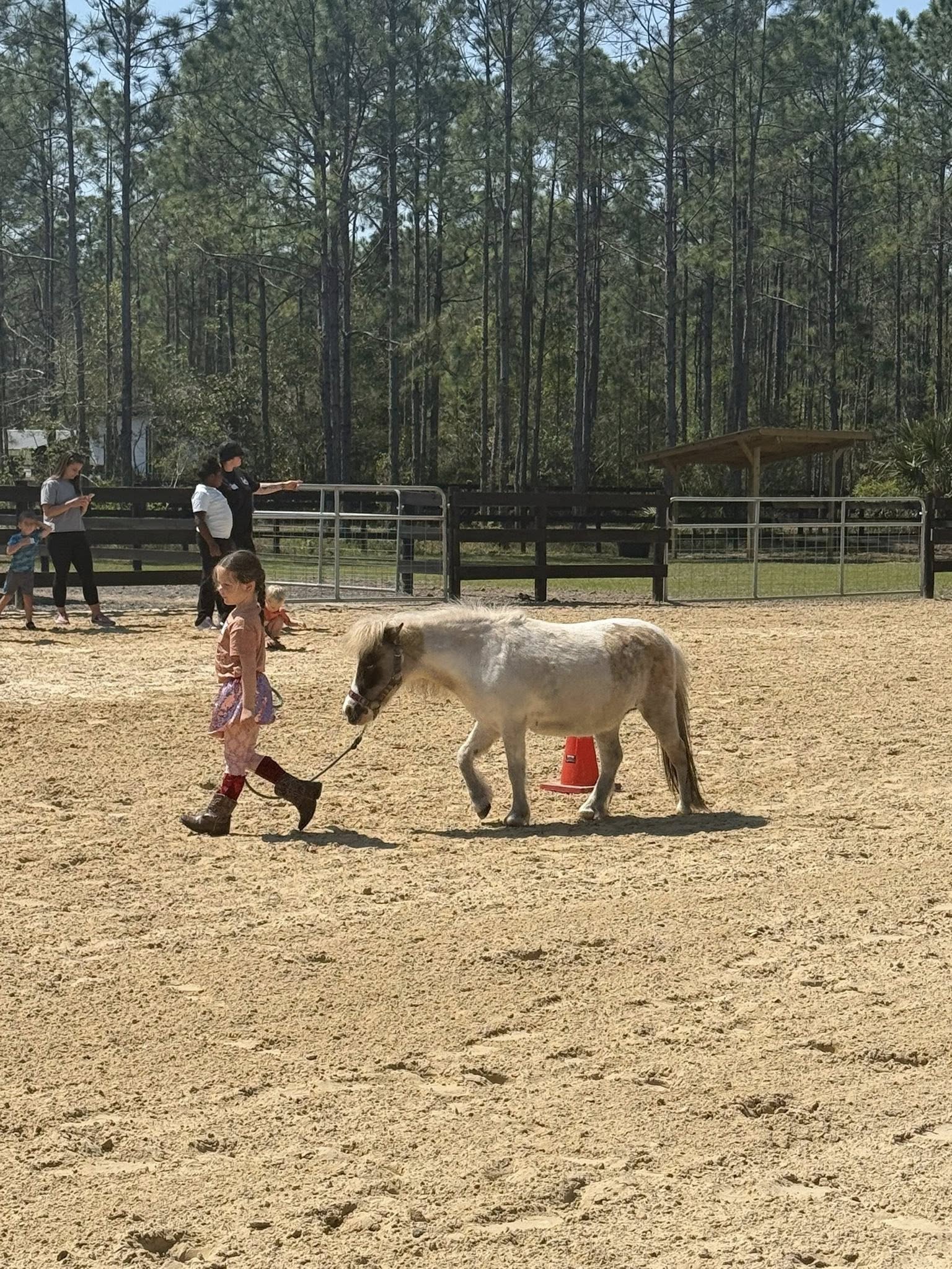 Young girl walking a mini horse in the arena during a kids horse experience at Rodeo Stables.