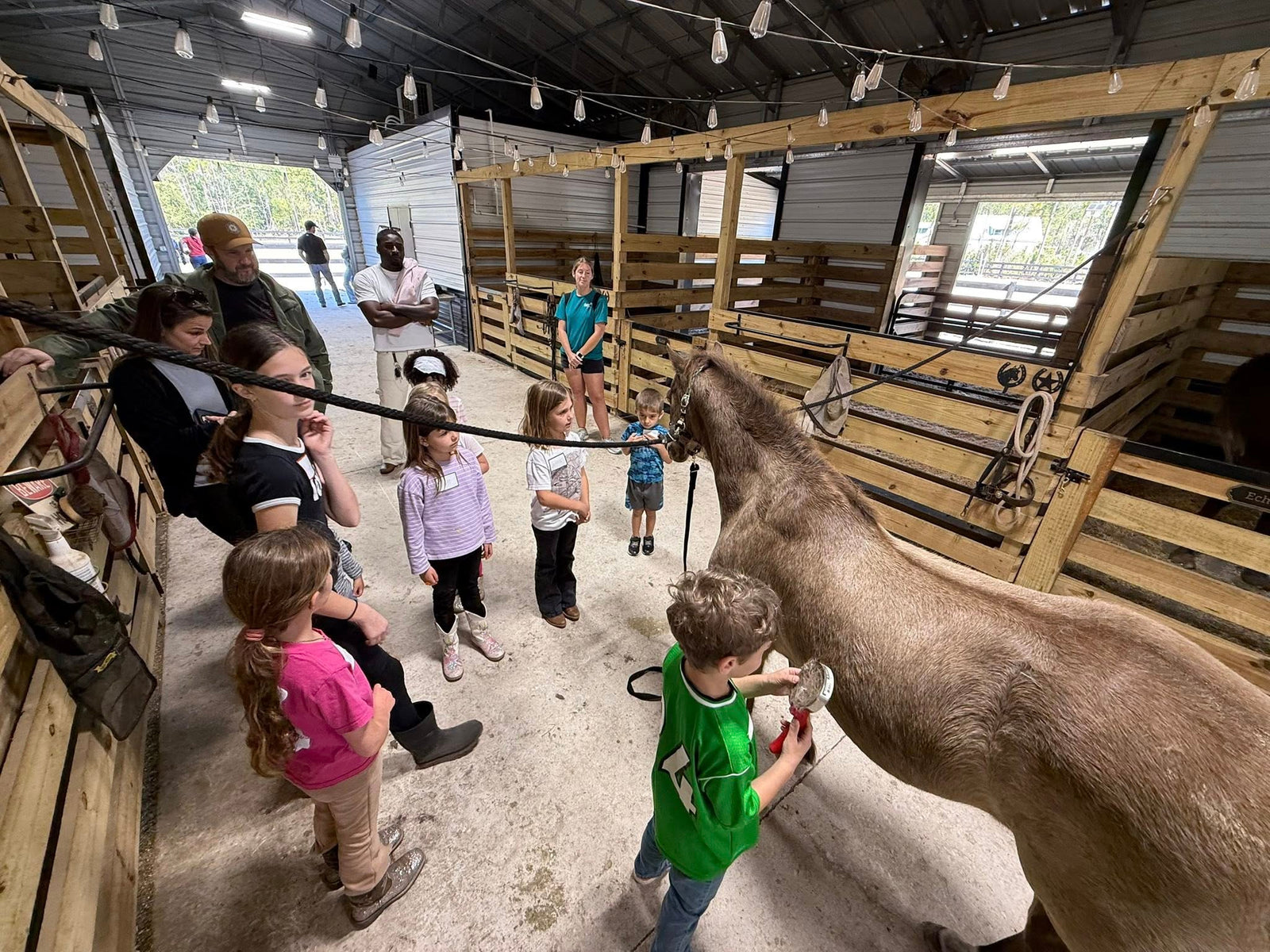 Children brushing and caring for a mini horse inside the Rodeo Stables barn.