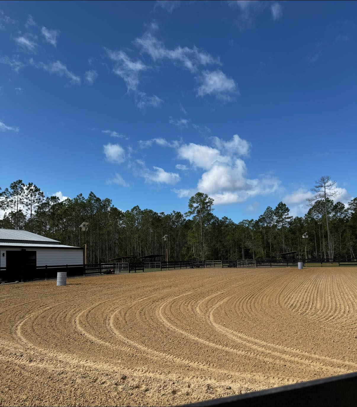 Freshly groomed open riding arena at Rodeo Stables in Florida